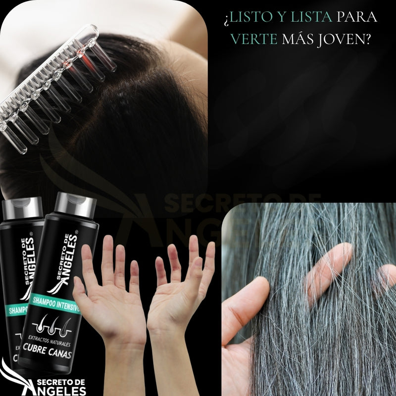 Shampoo Cubrecanas Secreto de Angeles