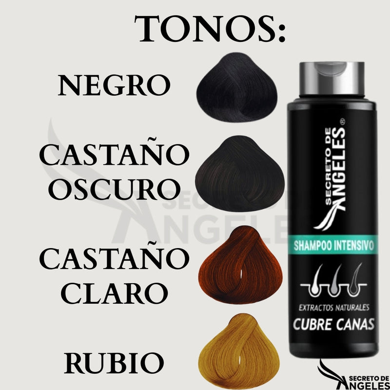 Shampoo Cubrecanas Secreto de Angeles